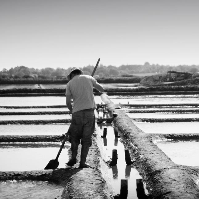 Lire la suite à propos de l’article Habillage du marais pour la récolte du sel